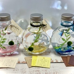【マリモ瓶】天然石入り✩.*の画像