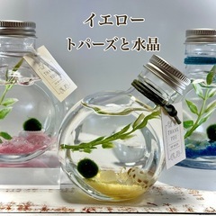 【マリモ瓶】天然石入り✩.*の画像