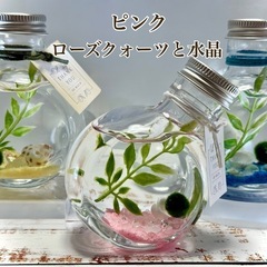 【マリモ瓶】天然石入り✩.*の画像
