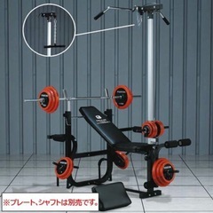 ファイティングロード キングオブベンチ ラットプルオプション付き