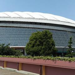 🌟岡山　草野球　2025年　6月1日（日）助っ人さん募集中🌟