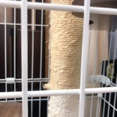 キャットゲージ ケージ 猫 ハウス アイリスオーヤマの画像