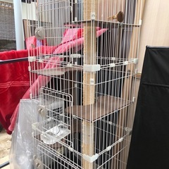 キャットゲージ ケージ 猫 ハウス アイリスオーヤマの画像