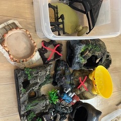 爬虫類用品