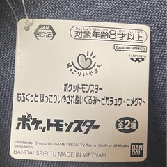 新品　ピカチュウ　ヒトカゲ　ぬいぐるみ2体
の画像