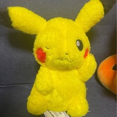 新品　ピカチュウ　ヒトカゲ　ぬいぐるみ2体
の画像