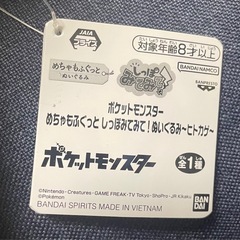 新品　ピカチュウ　ヒトカゲ　ぬいぐるみ2体
の画像