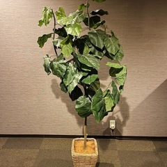 フェイクグリーン⑤🪴 観葉植物 大きめ