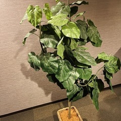 フェイクグリーン⑤🪴 観葉植物 大きめの画像