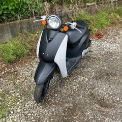 絶好調！　トゥデイ