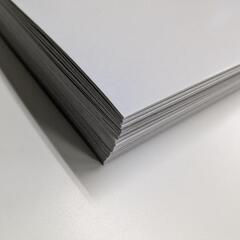 画用紙50枚　45cm×20cmの画像