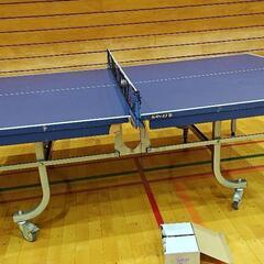 🏓一緒に楽しく卓球やりませんか🏓 - スポーツ