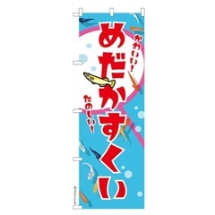 めだか掬い5月31日、6月1日開催致します‼ 😊