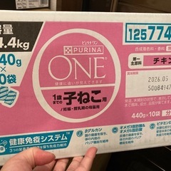 キャットフード(子猫用)