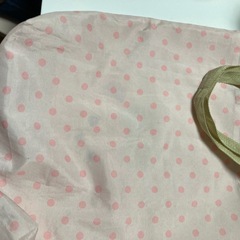 ディズニー　シェリーメイエコバック値下げしましたの画像