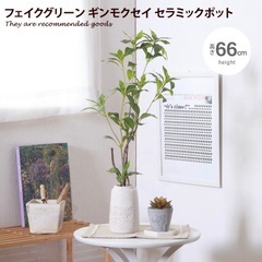 フェイクグリーン　美品　定価4130円