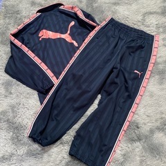 プージャ PUMA 大人気 ピンク上下 レア物