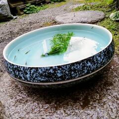花器&メダカと水草の画像