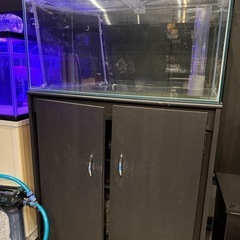 LEGLASS  KOTOBUKI  90センチオーバーフロー水槽
