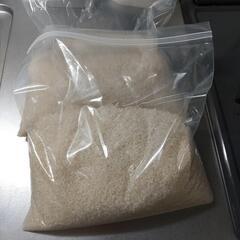 値下げ　お米　約3kg　品種不明　