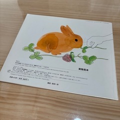 絵本⭐︎はいうさぎですの画像