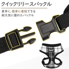 ハーネス　リードセットXS 短時間使用の画像