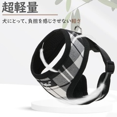 ハーネス　リードセットXS 短時間使用の画像