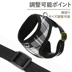 ハーネス　リードセットXS 短時間使用の画像