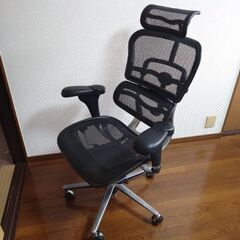 エルゴヒューマン