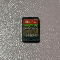 マイクラ　Switch