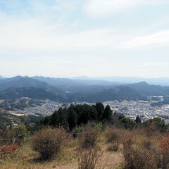11/29(土) 	鳥見山を抜けて長谷寺へ