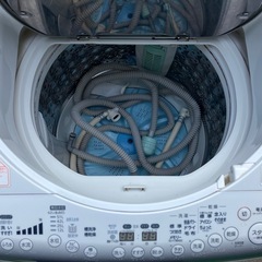 TOSHIBA 8kg洗濯乾燥機 AW-80VMの画像