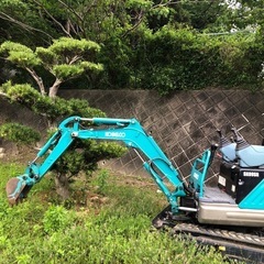 庭木等の伐採、抜根します‼️