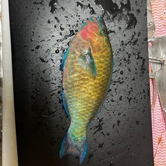 夜打ち込み釣り一緒に行ってくれる方さがしてます。 - 友達