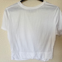 ZARA ホワイト クロップドTシャツ ねじりデザインの画像