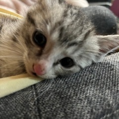 捨てられた子②男の子