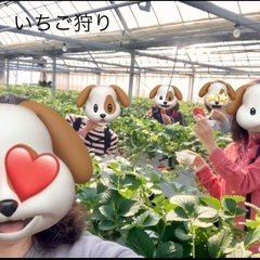 👩女性限定❗️ 6月18日(水) 三ヶ根山ハイキング🥾に一緒に行きませんか？？ - メンバー募集