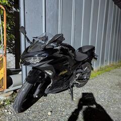 NINJAEX250P