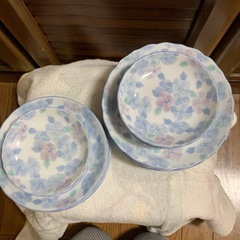 取皿大きさ違いセット