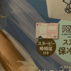 新品未使用　スヌーピー婚姻届付き　ゼクシィの画像