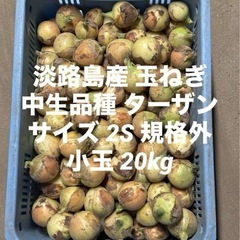 淡路島産 玉ねぎ 2S 規格外 20kg 小玉 玉ねぎ 中生品種...