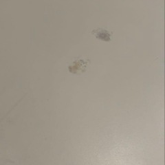 IKEA ストゥヴァ ベンチ収納 イケア【引き取りのみ】の画像