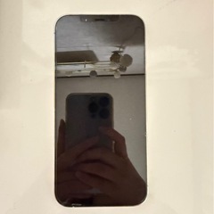 iPhone12 Promaxの画像