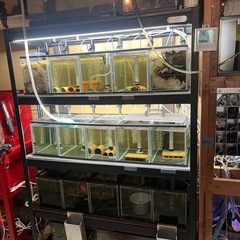 水槽　マンション水槽　セット