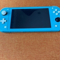 Switch Lite   スイッチライト