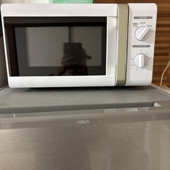 電子レンジ　2022年