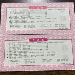 富士急チケット引換券が2枚(5月31日まで)の画像