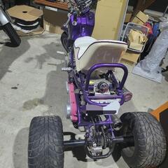 ズーマートライク　不動　中華　125ccの画像