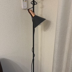 スタンドライト