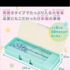 新品 ポケモンホログラムふでばこ の画像